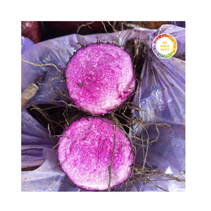 Planta entera orgánica fresca de alta calidad de ñame morado al mejor precio en línea - Product Image 1