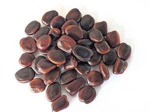 Tamarind <b>Seed</b> Raw <b>Seed</b> for Herbal Product <b>of</b> Bulk <b>Packaging</b> Best High Quality Tamarind <b>Seeds</b> In Wholesale Price - Product Image 3