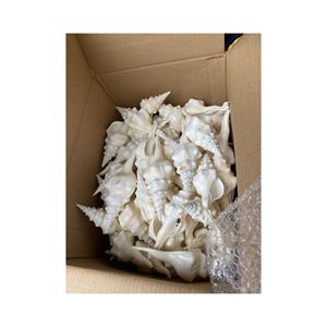 Coquillages de plage de qualité supérieure et types variés pour la décoration, les projets artistiques, l'aménagement paysager, l'aquarium ou l'emballage de cadeaux - Product Image 1