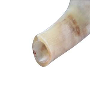 Shofar Kudu Ram Horn Shofar pulido por Noshahi Horn Enliven Overseas en India - Product Image 5
