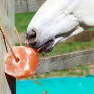 Bloc de sel de vache de l'Himalaya naturel de haute qualité, forme de cube, sel à lécher pour animaux, blocs de sel suspendus à une corde pour l'alimentation des chevaux et des chiens - Product Image 4