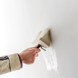 Fixateur bioactif Isoltherm et Paintherm pour cycle d'isolation thermique de 15 m2 pour les murs, matériaux d'isolation thermique - Product Image 6