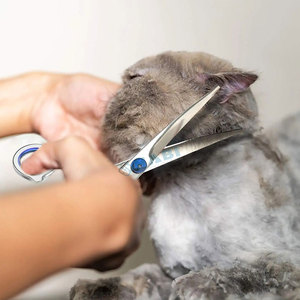 Chrome Dog Grooming <b>Scissors</b> Kit With <b>Safety</b> Round Tips Professional Stainless Steel Pet Grooming Shears - Product Image 5