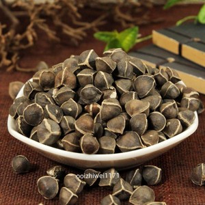 Graines de Moringa Nouvelle Arrivée Meilleures graines de Moringa - Product Image 4