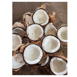 Noix de coco semi-décortiquée sélectionnée pour sa taille, son poids et sa durabilité convenant au secteur de l'hôtellerie, de l'exportation et du religieux - Product Image 6