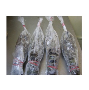 Homard entier surgelé au prix de gros Achetez aujourd'hui et profitez d'une livraison rapide pour des fruits de mer frais et délicieux - Product Image 4