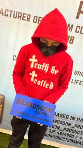 Nueva llegada personalizado desgastado bordado sudaderas con capucha ropa de calle variedad 100% algodón de moda para el invierno - Product Image 6