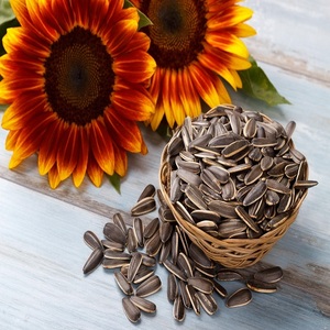 Semillas de Girasol Secas al por Mayor, Procesadas con Método AD, Grado A, Certificadas, Alta Calidad y Buen Precio para Consumo Humano - Product Image 1