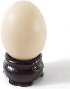 Cesta porta huevos de metal negro con asa para recolección de huevos de cocina y almacenamiento en el hogar - Product Image 3