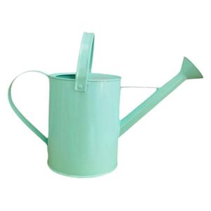 Bidon d'eau en métal de la meilleure qualité pour les fleurs avec un design intemporel fini antique et une poignée de transport facile pour le jardin - Product Image 1