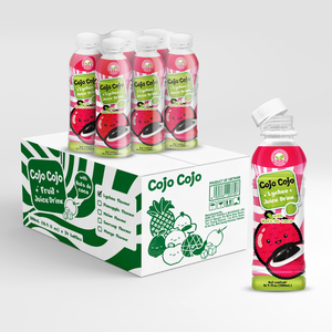 16.9 floz cojo ลิ้นจี่ผลไม้เครื่องดื่มมะพร้าว Nata de COCO โรงงานเครื่องดื่มที่ได้รับการรับรองจากฮาลาล ODM - Product Image 1