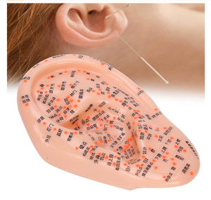 Modelo de acupuntura de oreja para aprendizaje y visualización de acupuntura con diseño de punto fijo de base grande - Product Image 3