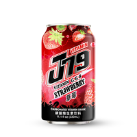 VINUT 330ml Boisson aux fruits tropicaux, fournisseur de boissons OEM ODM, étiquette privée