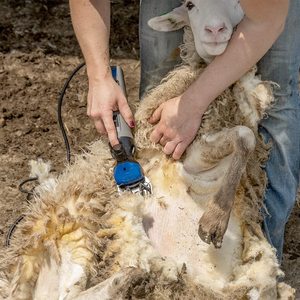 Paquete de Tijeras Eléctricas 4000s con Peine de 20 Dientes - Product Image 2