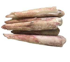 Calamar Loligo redondo entero congelado fresco nueva captura mariscos de Vietnam IQF Grado de exportación suministro a granel de alta calidad - Product Image 1