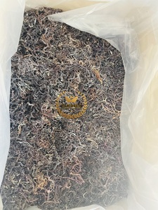 Algues marines séchées brutes 100% naturelles du Vietnam, haute qualité, bon prix, algues marines sauvages artisanales - Product Image 3