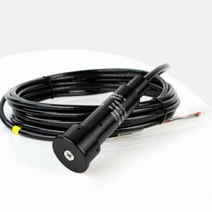 Transmisor de Nivel de Tanque de Diésel Magnético Sumergible GLT5001 de Acero Inoxidable 4-20mA 12-30VDC - Product Image 6