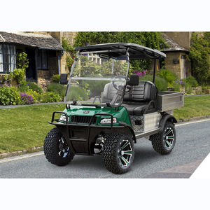 Turfman 2023 Véhicules électriques Evolution 800 - Product Image 6