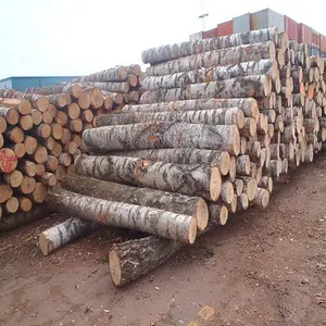 Find High-Grade baltic birch logs For Lumber and Sawing - .