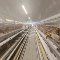 Équipement d'élevage de poulets de type H, système de cages automatiques pour poules pondeuses