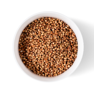 Vente en gros de grains de sorgho en vrac prêts pour la distribution et le commerce - Product Image 1