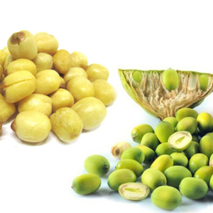 Best Seller Exporting Standard Frozen Lotus <b>Nut</b> with Reasonable Price - Product Image 1