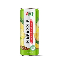 Fruitensap 55% Mango Puree (250ml)-Suiker Vrij Gratis Sample Groothandelsprijs Private Label OEMODM