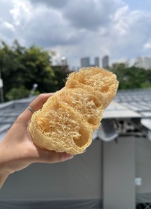 Organic Loofah <b>Sponge</b> Scrubber Set 5-Packs Pressed Soft Loofah Custom Packaging Farm-Grown Exfoliating Body Use Vietnam - Product Image 3
