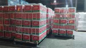 La mejor Pasta de Espagueti marca Festa 500g | Calidad Premium con Precio Inmejorable Fabricante de Espaguetis - Product Image 5