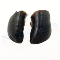 Buffalo Horn Sooves Anjing alami mengunyah traktiran anjing tahan lama untuk pengunyah kuat dan dukungan kesehatan gigi