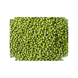 Frijoles Mung Frescos a Granel 25 kg de EE. UU. para Pulses y Legumbres - Product Image 6