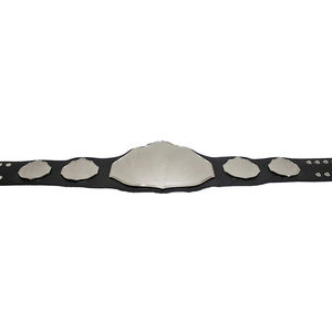 Cinturón de Lucha Libre Personalizado en Oferta, Cinturones de Campeonato Populares 2026 - Product Image 4