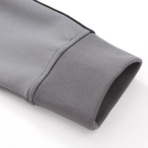 Venta al por mayor de peso pesado 100% algodón poliéster pulóver con capucha para hombres logotipo personalizado colección Otoño/Invierno disponible - Product Image 4