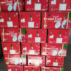 Goûtez les tropiques frais fruits du dragon vietnamien 100% pur directement de la ferme Binh Thuan-TECHMIFOOD - Product Image 1