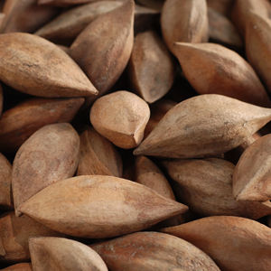 Noix de Pili sauvages germées non salées naturelles à vendre - Product Image 1