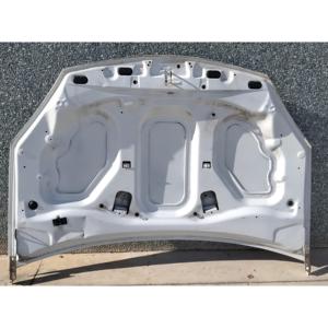 CAPÓ DELANTERO DACIA Sandero 1ª Serie 6001551793 (08>12) - Product Image 2
