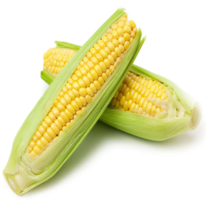 MAÍZ ROJO / MAÍZ ROJO SECO GMO PARA ALIMENTACIÓN ANIMAL A PRECIO DE FÁBRICA - Product Image 1