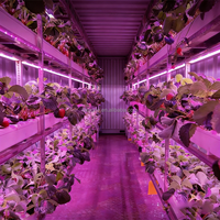 Système de culture hydroponique vertical intelligent pour serres de fraises, équipement agricole commercial