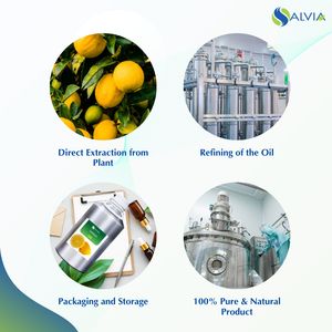 Aceite de limón 100% puro y natural al por mayor a granel precio más bajo embalaje personalizado - Product Image 4