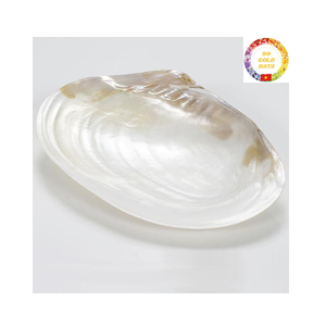 Eco Friendly Mother of Pearl Caviar Plate Shell Serving Dish for Restaurants and Homes - Product Image 3