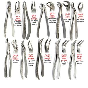 Forceps dentaires manuels en acier de haute qualité pour l'extraction des dents et le desserrage des racines, molaires inférieures/supérieures, réutilisables - Product Image 1