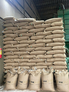Green <b>Robusta</b> <b>Coffee</b> <b>Beans</b> Bulk Dried for Drinking - Product Image 3