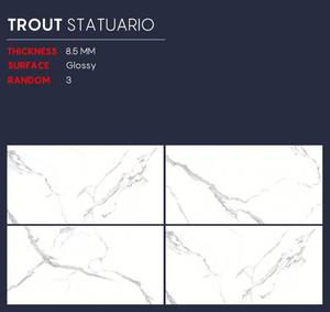 Carreaux de sol en céramique porcelaine de luxe 600x1200mm Résistance de surface supérieure pour les intérieurs modernes disponibles à un prix abordable - Product Image 4