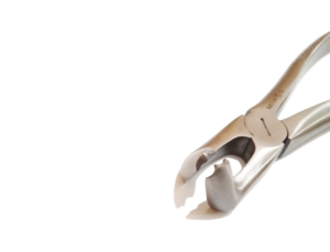 Forceps pour extrait de dent de sagesse inférieure Fig. 79, Pince d'extraction de troisième molaire, Instrument de chirurgie dentaire professionnel, Outil chirurgical autoclavable - Product Image 5
