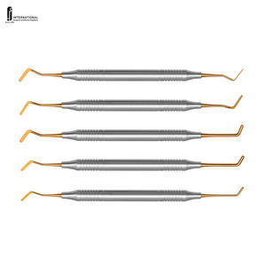 Ensemble d'instruments chirurgicaux dentaires en titane de qualité supérieure de 5 pièces Instruments de remplissage composites de restauration manuelle - Product Image 1