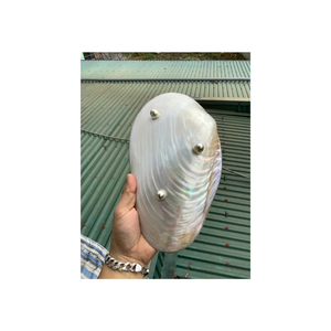 Cuillère à caviar en nacre blanche de qualité supérieure Cuillère à coquille exquise faite à la main pour une cuisine raffinée, ustensile non métallique assurant la pureté - Product Image 1