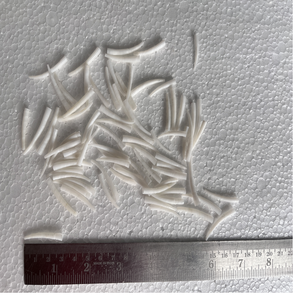 Lampes en sel de l'Himalaya sur mesure Coquilles lisses de 1 pouce avec bords sablés Design d'ange sculpté pour les créateurs de bijoux - Product Image 5