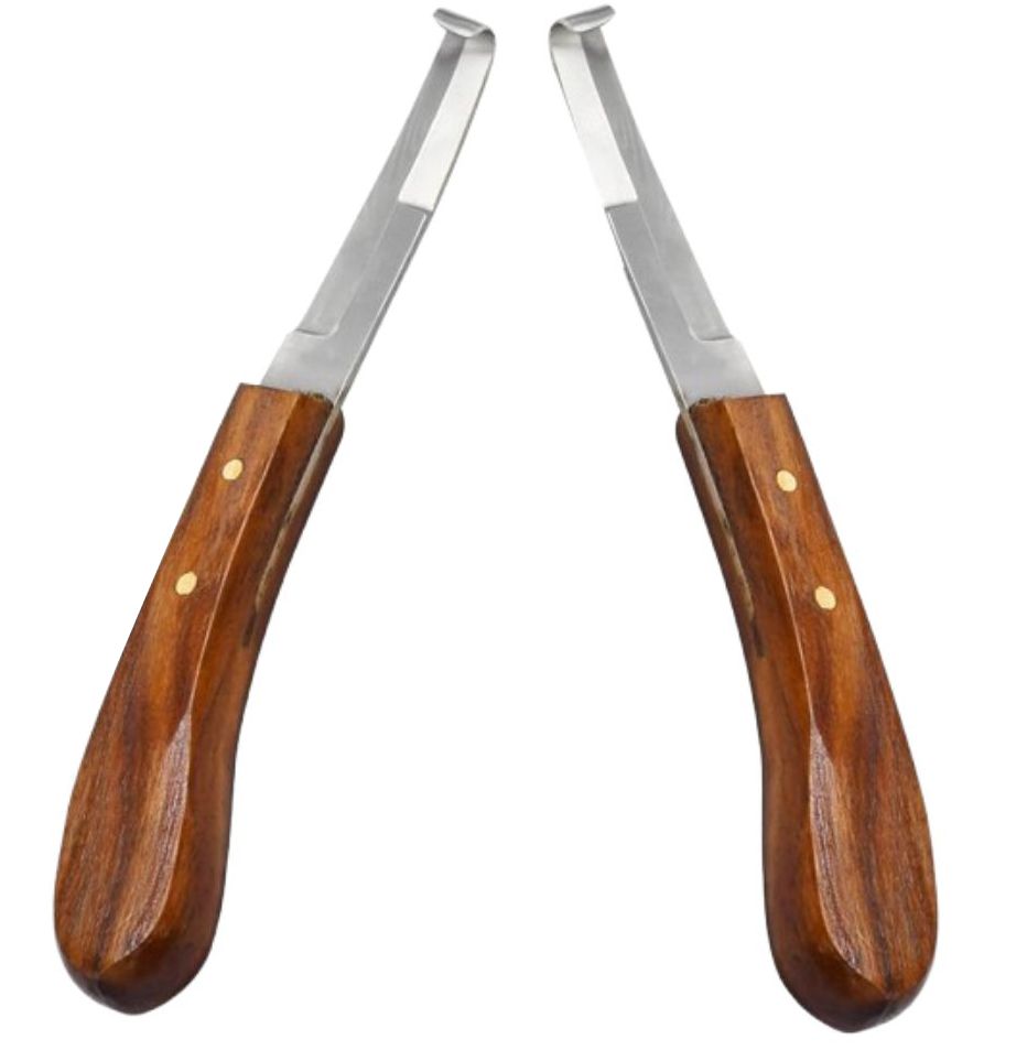 CHAN TARA Hoof Knife L Shape Farrier Tool for Horse, Cow, Cattle Ergonomic & Rust Proof Blade Veterinary instruments Algeria