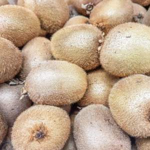 กีวีออร์แกนิคเกรดพรีเมียม 100% สดใหม่ สายพันธุ์เฮย์เวิร์ด คุณภาพสูง ความหวาน 9.5+ เกรดส่งออก ผลสุก ขายส่ง - Product Image 2