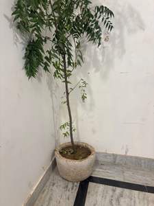 Macetas de Piedra Antiguas con Altura Ajustable, Muebles de Exterior para Sala de Estar, Macetas para Exteriores - Product Image 2